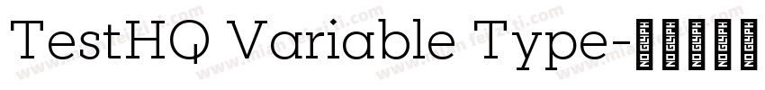 TestHQ Variable Type字体转换